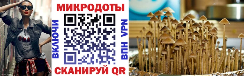 kraken рабочий сайт  Отрадная  Галлюциногенные грибы GOLDEN TEACHER 