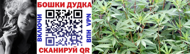 Конопля план Отрадная